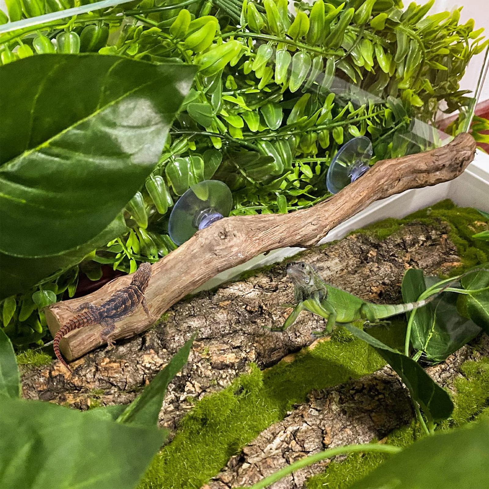 Wooden Snake Climbing Branch R - огляд і ціна Home Decor Habitat