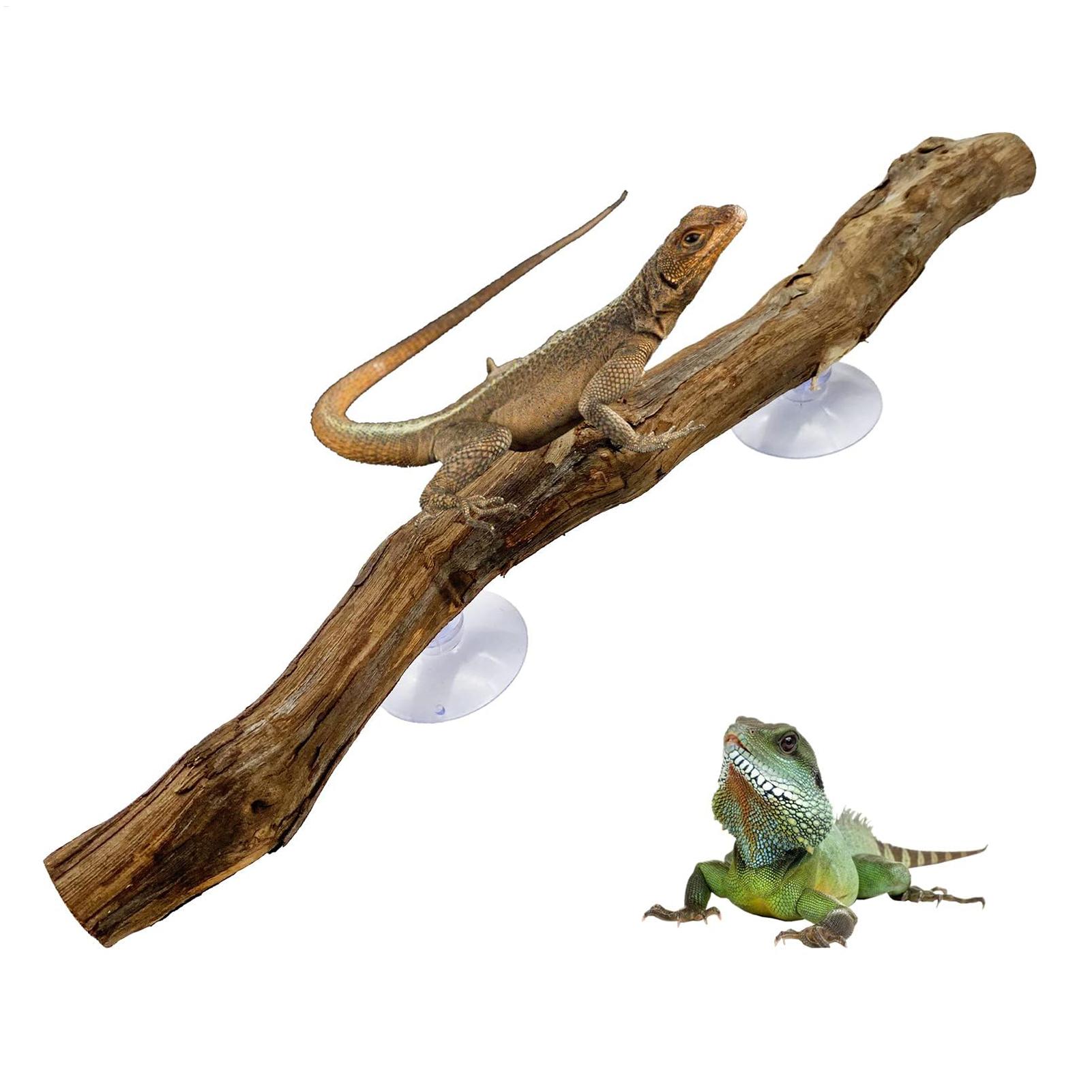 Reptile Climbing Corner Stick  - огляд і ціна Home Decor Habitat