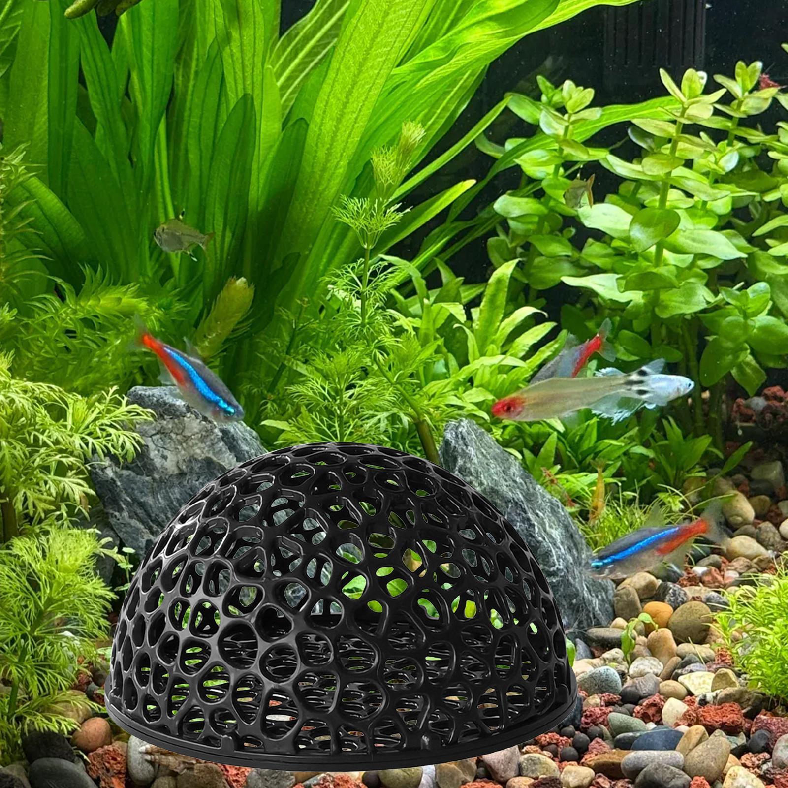 A  Shrimp Breeding Cave fish t - огляд і ціна Home Decor Habitat