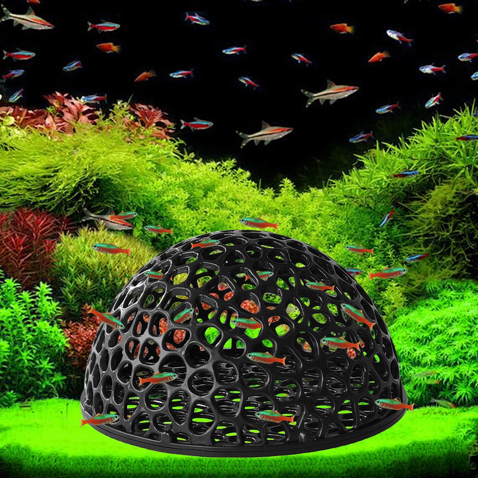 A  Shrimp Breeding Cave fish t - огляд і ціна Home Decor Habitat
