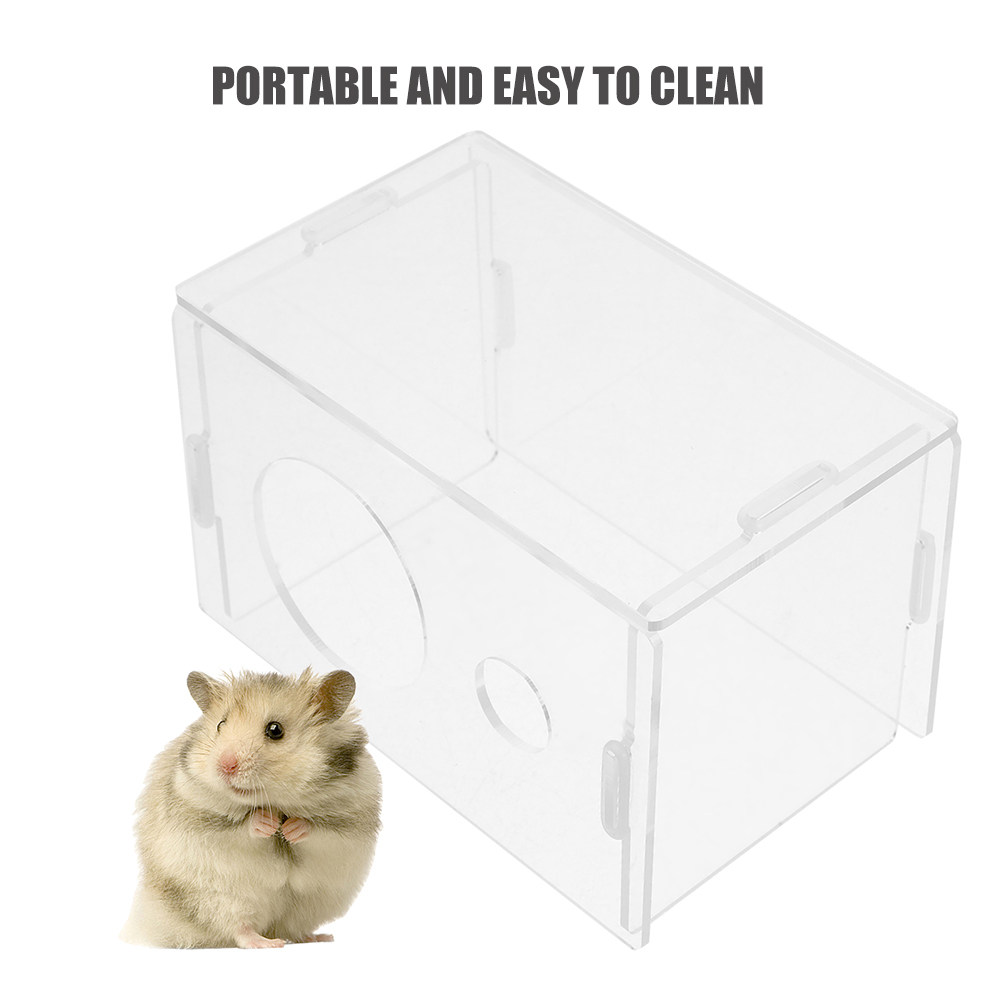 Transparent Acrylic Hamster Hi - огляд і ціна Home Decor Habitat
