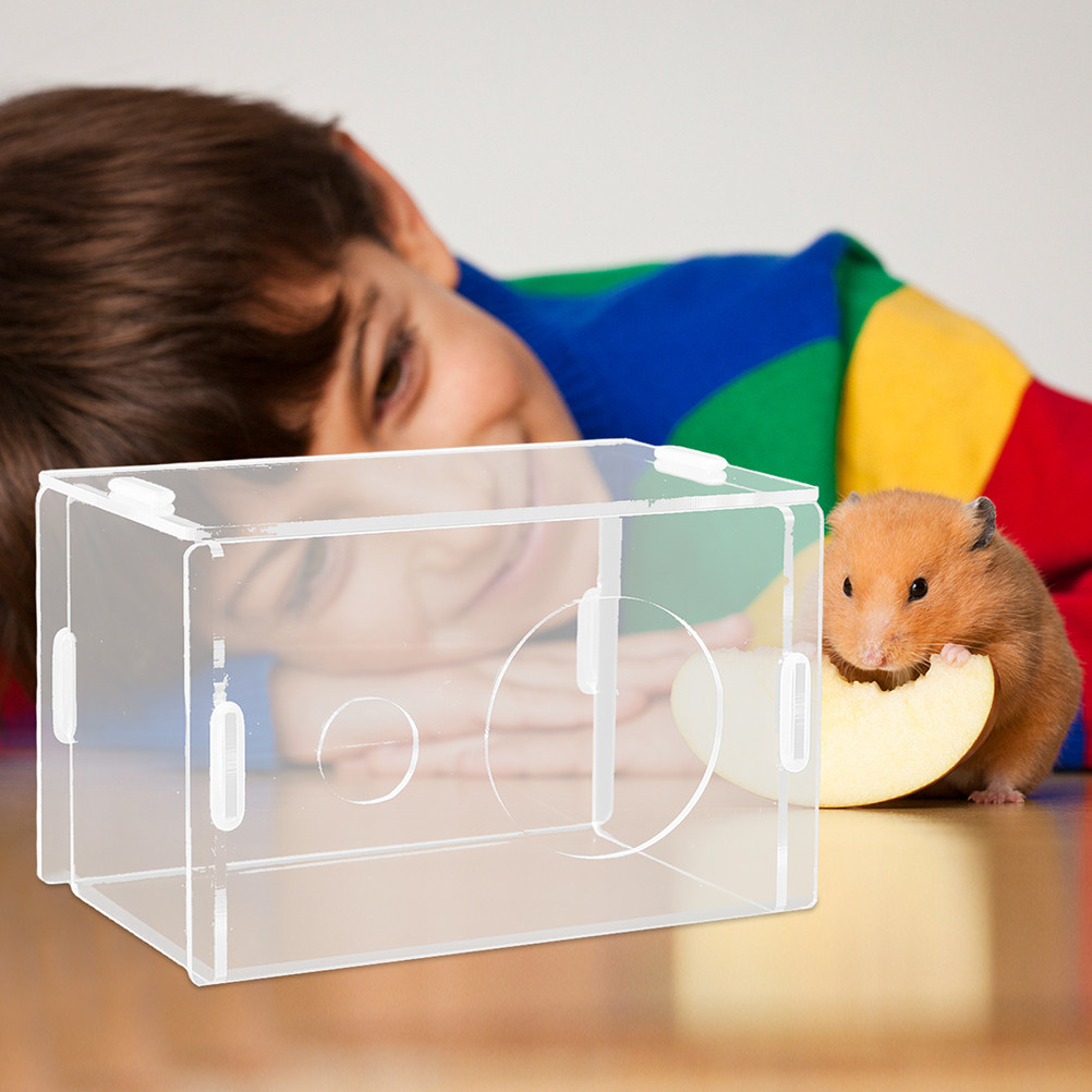 Transparent Acrylic Hamster Hi - огляд і ціна Home Decor Habitat